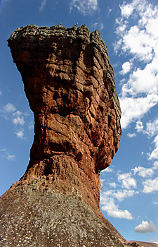 Cálice de Vila Velha - símbolo geológico do Paraná
